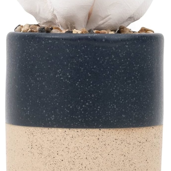 Demdaco Succulent 3 x 5 Stoneware Decorative Tabletop Oil Diffuser - Picture 2 of 11